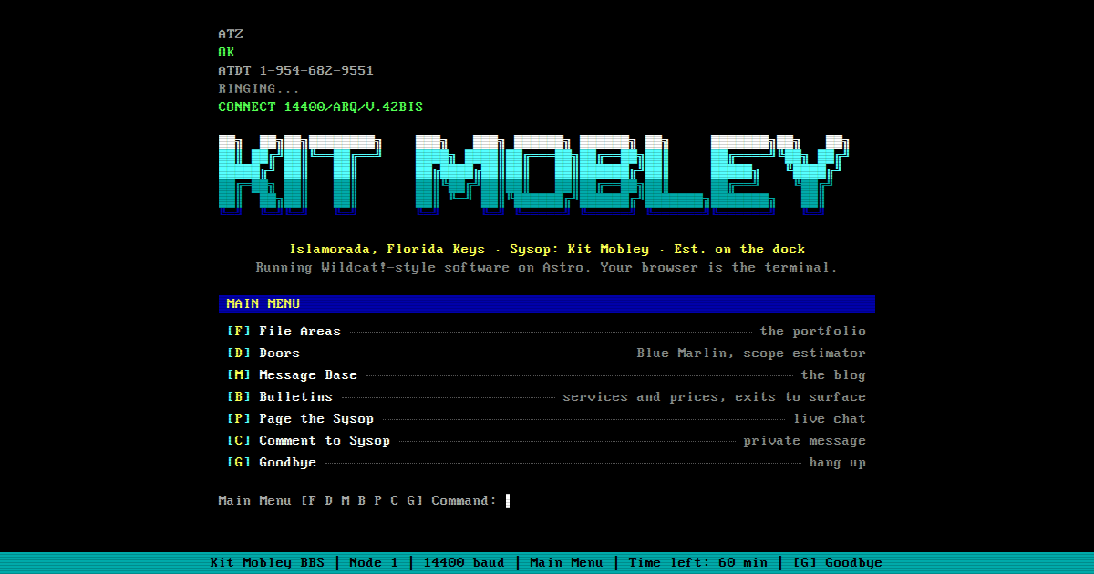 I Turned My Business Site Into a 1994 BBS. Then I Put a Fishing Game In It.