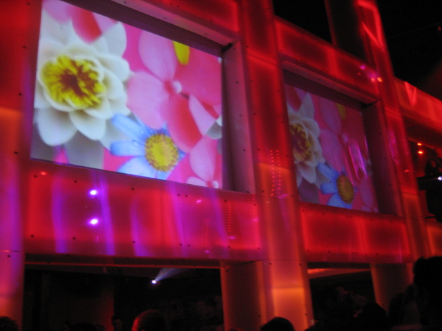 Video screen visuals by Kit Mobley while VJing at Cameo Miami